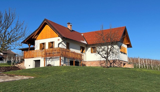 Iza na brejgi - House on the hill in Moravske Toplice