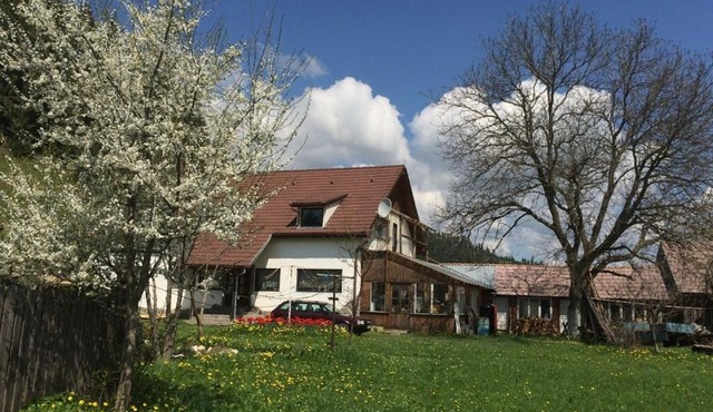 Karacsony Guest House in Comiat