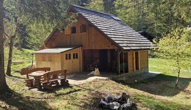 Koča v gozdu, Forest house near Bled in Radovljica