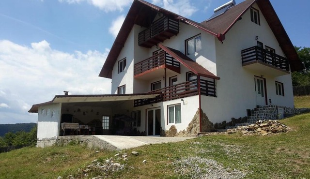 La Curtea Argeseana in Albestii Paminteni