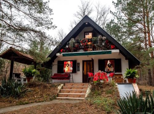 Ladybird Lodge in Banatski Karlovac