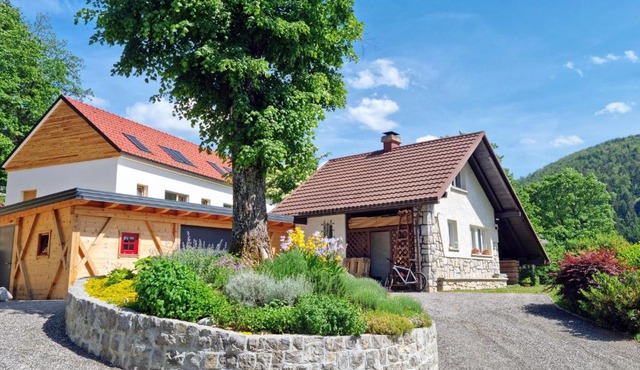 Lake View Holiday Home in Cerknica