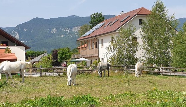 Lipizzaner Lodge Guest House in Postojna
