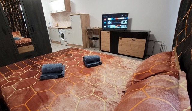 Little apartment 30mp ChrysFlatty 2 - Ground Floor in Arad
