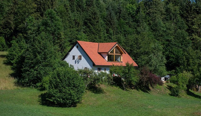 Lovely home in Vrhnika with WiFi in Vrhnika