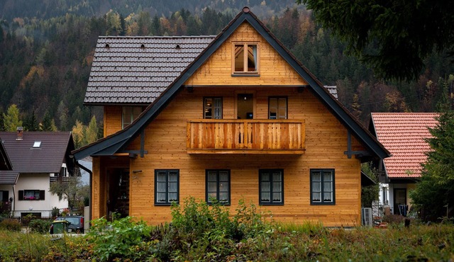 Luxurious Apartment, comfortable for 1-2 families with 2 bathrooms, Pet friendly in Jesenice