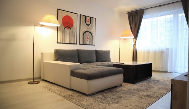 LZR Apartment 45 in Brașov
