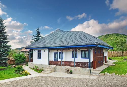 MAGNETIC HOUSE in Tirgu Ocna