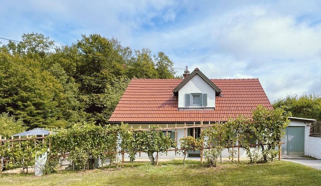 Maria's Orchard Cottage - Nature vacation in Slovenia in Rogaška Slatina