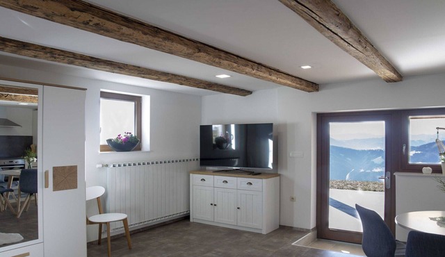 Mountain Vibrant and Timeless Apartment with Sauna - Studio Apartment with Terrace in Dravograd