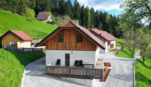 Mountain View Villa with Sauna and Hot-Tub - Three Bedroom Villa with Sauna and Hot-Tub in Slovenj Gradec