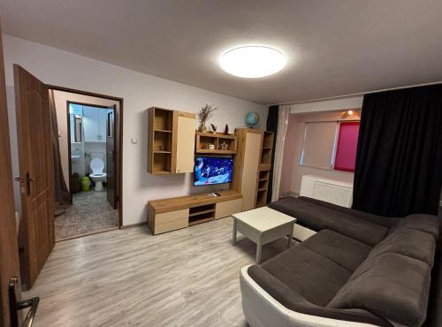 MR Apartment in Timisoara