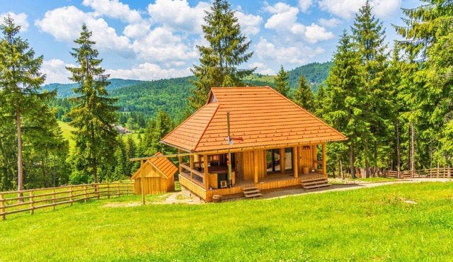 MyNest - Mountain luxury cabin in Ciucsangeorgiu