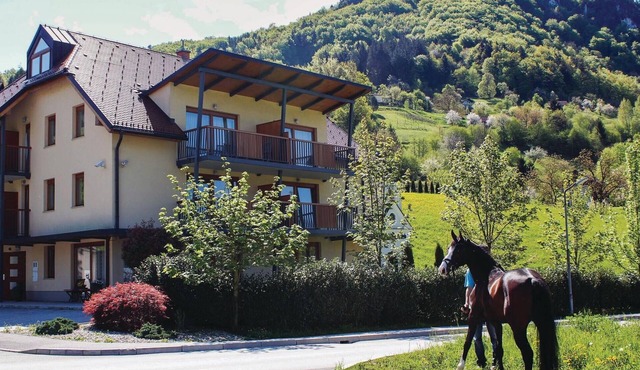 Nice apartment in Lasko with WiFi in Lasko