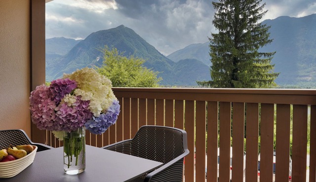 One-Bedroom Apartment with Large Private Terrace, Mountain View – House Elipsa in Tolmin