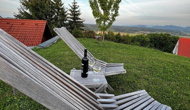 Peaceful spacious apartment w great views near the thermal pools in Podčetrtek in Podčetrek