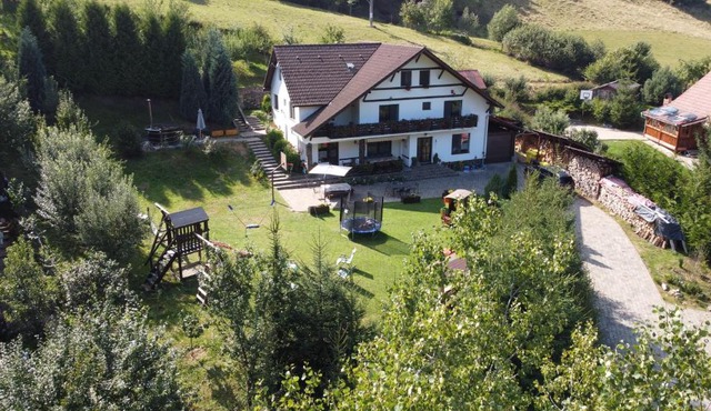 Pensiunea Casa Stefan in Gura Raului