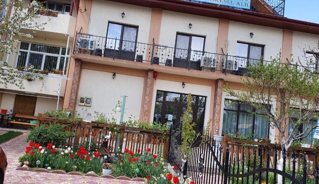 PENSIUNEA CIREȘUL ALB in Tulcea