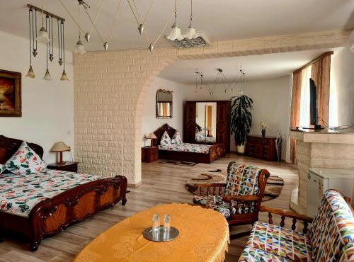Pensiunea King in Timişoara