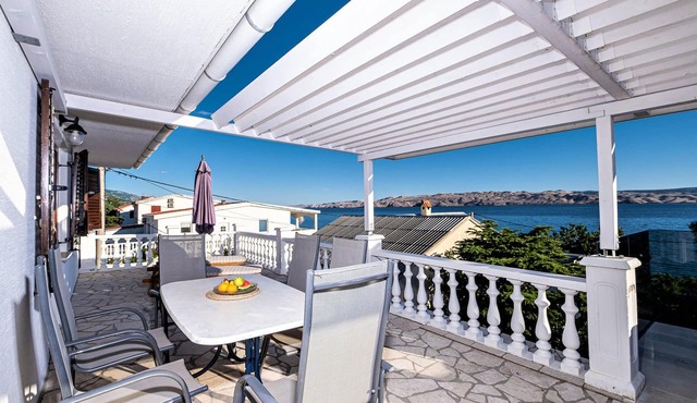 Pet friendly apartment in Ribarica