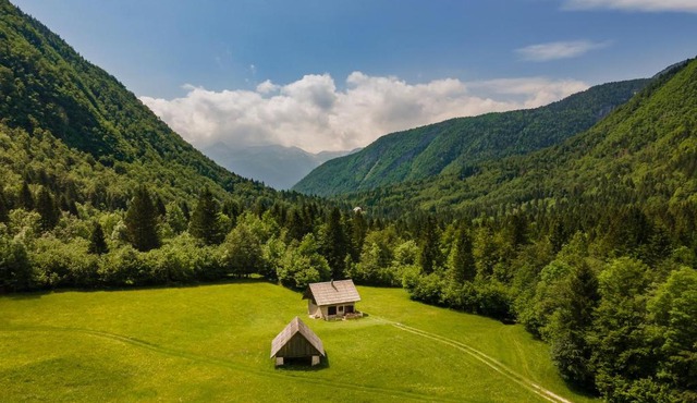 Počitniška Hiša Voje in Srednja Vas v Bohinju