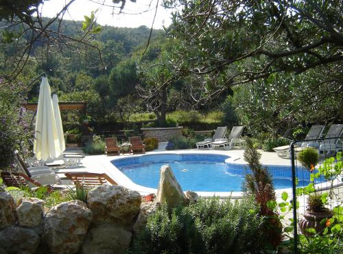 Pool apartments Mirjana