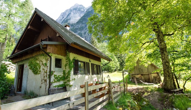 Private Alpine house Antonia with mountain views in Soca