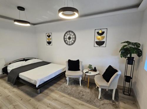 Radu's Room in Curtea de Argeş