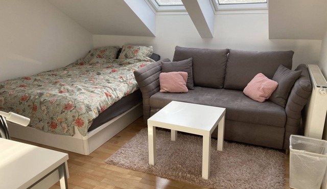 Room 3 Home Stay Free Park&bikes in Ljubljana
