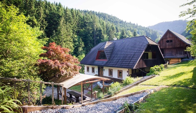 Rustic Authentic Holiday Home with Terrace and Wood Stove - Three Bedroom Holiday Home with Terrace in Ljubno ob Savinji