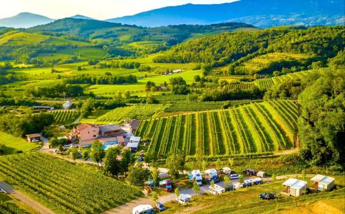 Saxida Wine & Camping Resort - Campsite in Nova Gorica