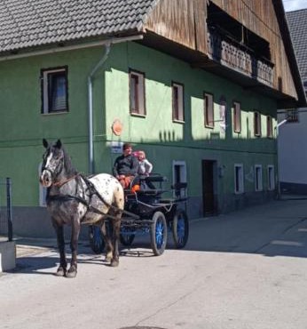 Sigma house in Mojstrana