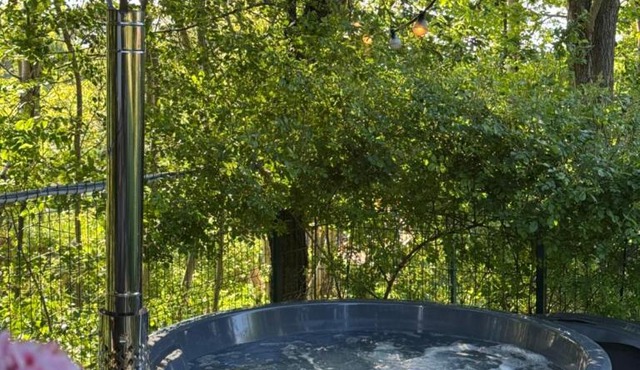 Silver Bungalow in Brasov