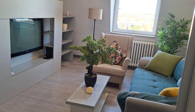 Skyline appartment in Belgrade