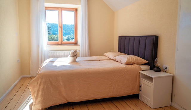 Spacious 5-bedroom house with Sauna and Massage chair in Cerknica