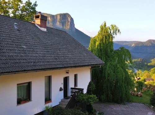 Spacious apartment in Bled