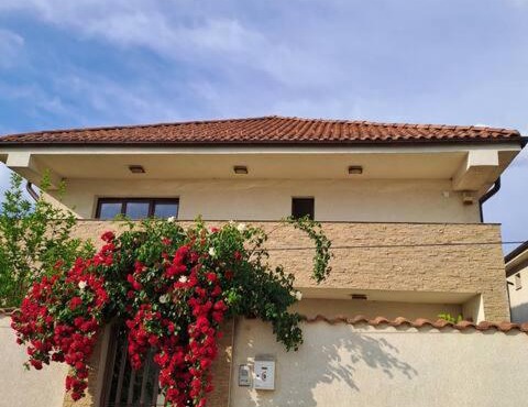 Spacious Home Near Bucharest Garden & Parking in Bucharest