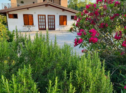 Studio Apartma Olive, Nova Gorica, Slovenia in Nova Gorica