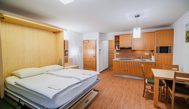 Studio Breza with Indoor pool and Wellness access in Dragatus
