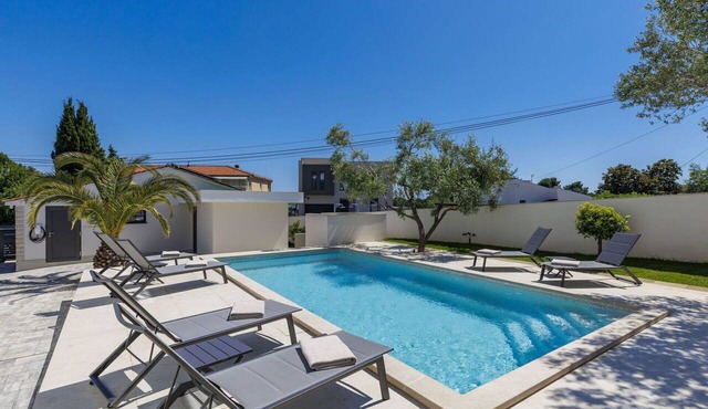Stunning private villa for 10 guests with private pool, A/C, WIFI, TV, patio and pets allowed in Premantura