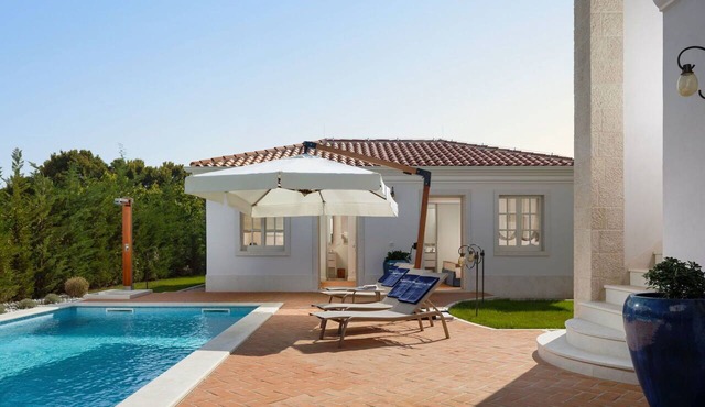 Stunning private villa for 8 guests with private pool, A/C, WIFI, TV, terrace and pets allowed in Umag