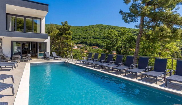 Stunning private villa with private pool, A/C, WIFI, hot tub, TV, terrace and pets allowed in Rijeka