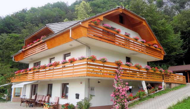 Superior Apartment With 3 Balconies In the Lake Bled Area Of Slovenia in Zirovnica