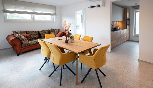 Three Bedroom Apartment with Balcony and pool in Sezana
