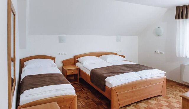 Triple Room with Balcony 107 in Zrece