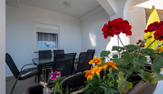 Two bedroom apartment with terrace Povljana, Pag (A-11516-a) in Povljana