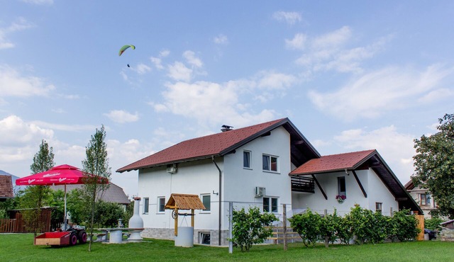 Varpolje Two Bedroom Apt. with BBQ picnic spot in Recica ob Savinji