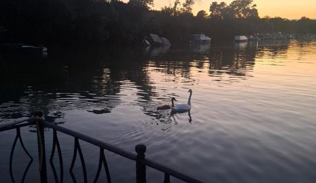 Vasilisa Luxury River House in Pancevo