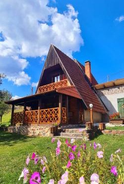 Vila Ami in Kremna