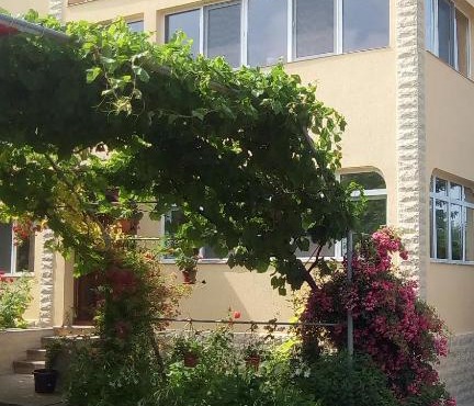 Vila Andre in 2 Mai
